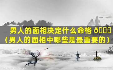 男人的面相决定什么命格 🐒 （男人的面相中哪些是最重要的）